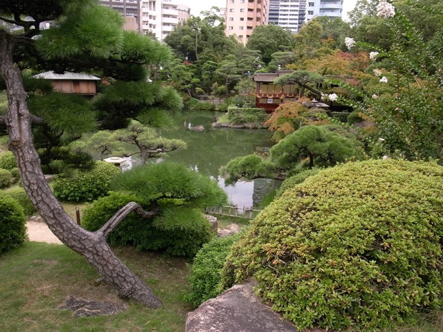 相楽園日本庭園